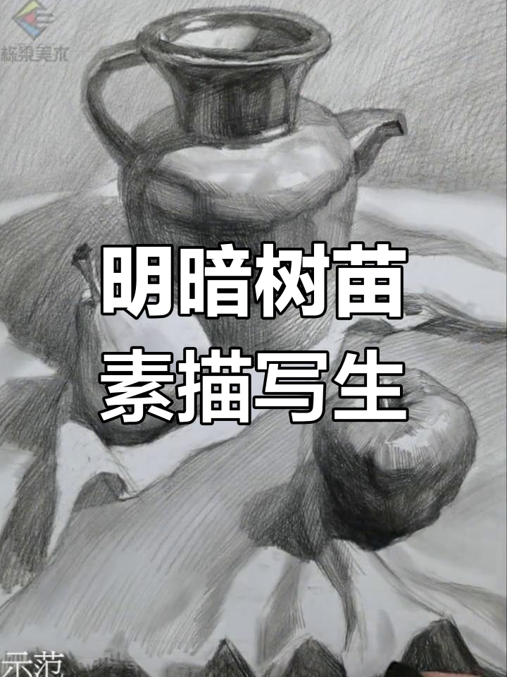 素描静物写生:树苗与光影的探索