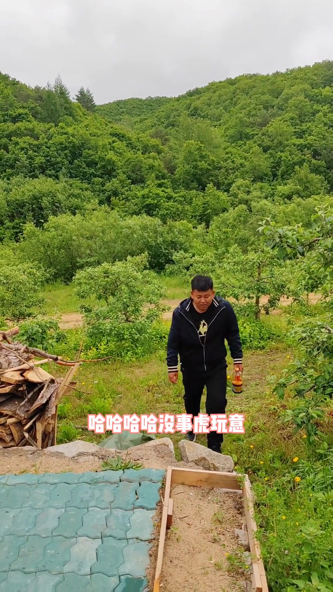 东北土鸡炖粉条,爱鸡人士在它面前也白费了!户外