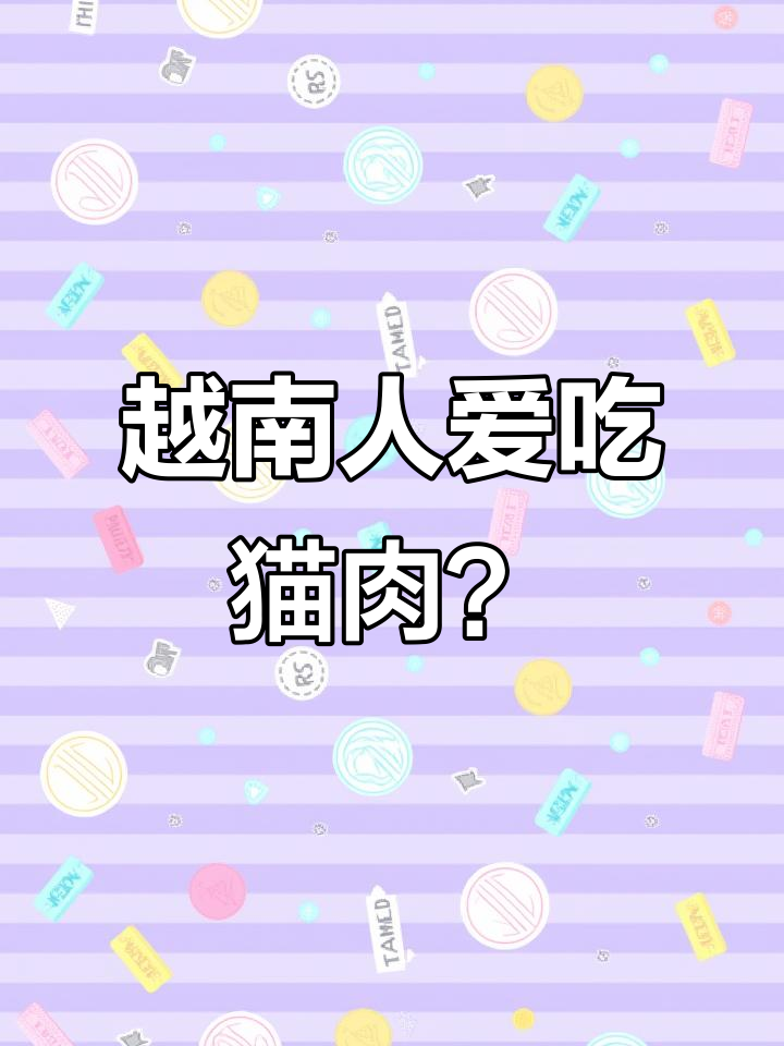 越南吃猫产业背后的隐患：500万只流浪猫的生死时速