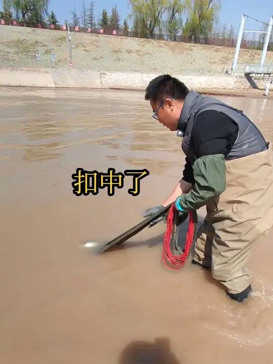 开闸放水急流上有鱼拱流,小伙一网扣中大鲂鱼真过瘾