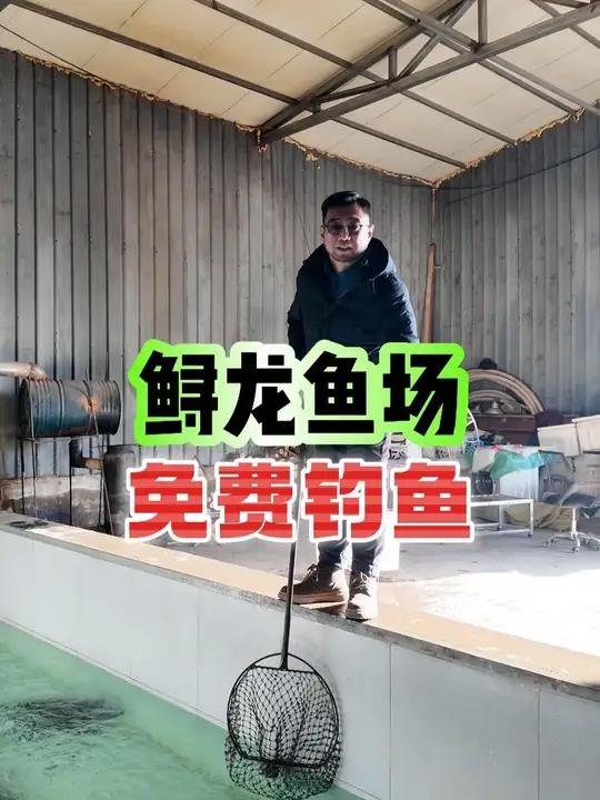 过年想吃的,现在也可以预定,直接找我就行!