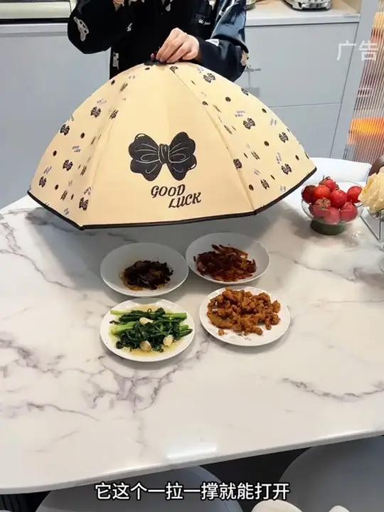 F保温菜罩家用可折叠2023新款餐桌盖菜罩剩饭菜遮尘神器冬季网罩子 厨房好物 生活好帮手 