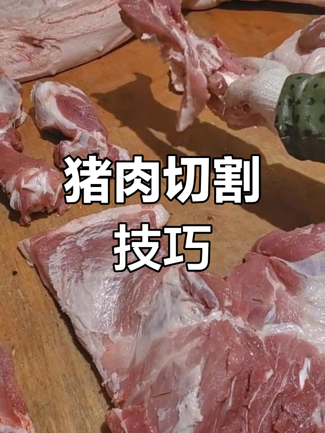 猪肉分割全解析:从排骨到五花肉的细致讲解