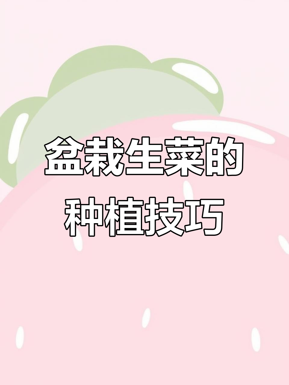用旧土和石灰种出生菜,轻松搞定阳台小菜园
