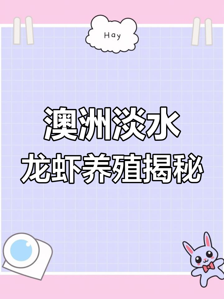 澳洲淡水龙虾养殖技巧:从蓝龙虾到小青龙的成长全过程