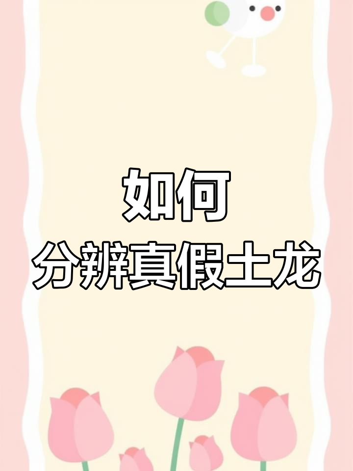 土龙与海鳗如何辨别?真假难辨,教你一招轻松识别