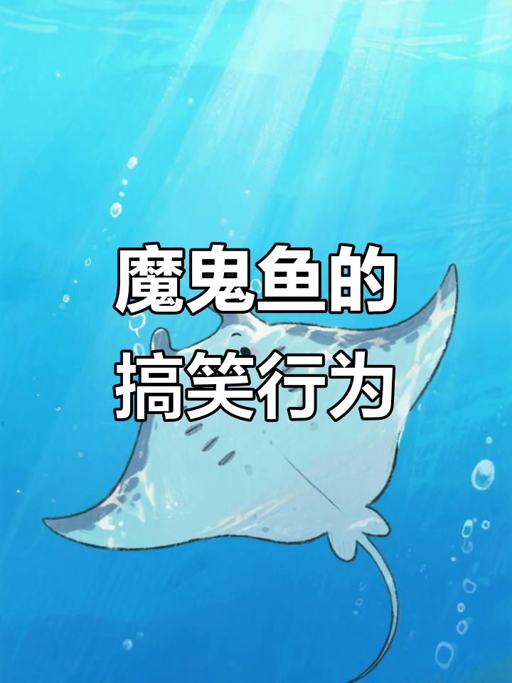 魔鬼鱼跃出水面，竟是为了这个原因！