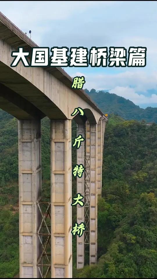 雅西高速上面三大奇观之一的腊八斤特大桥