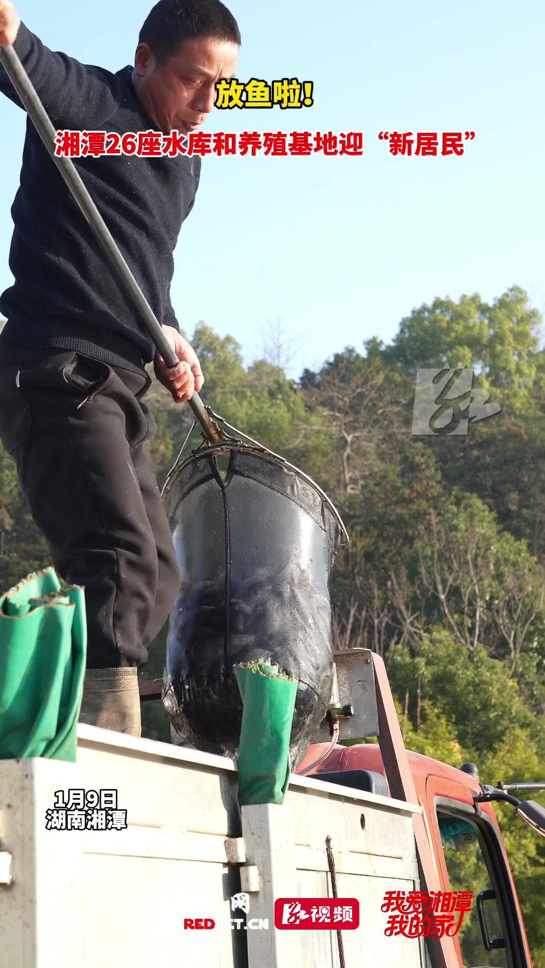 我爱湘潭我的家丨湘潭放流2.84万斤鱼苗 绘就大水面生态渔业新图景