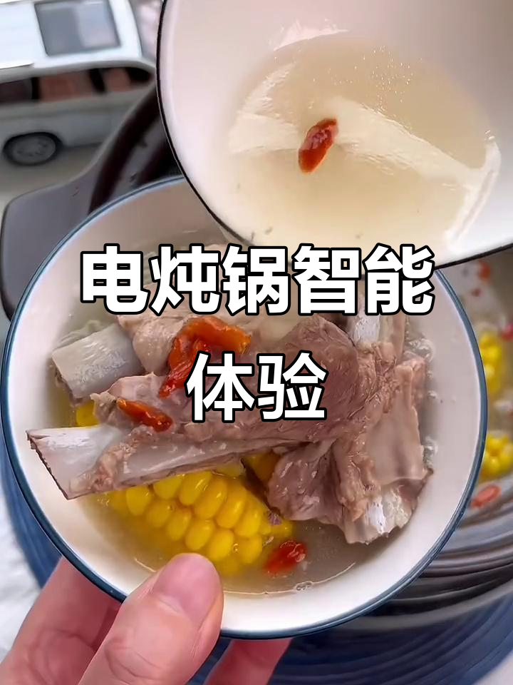 苏泊尔电炖锅,快速煲汤煮粥,智能预约功能