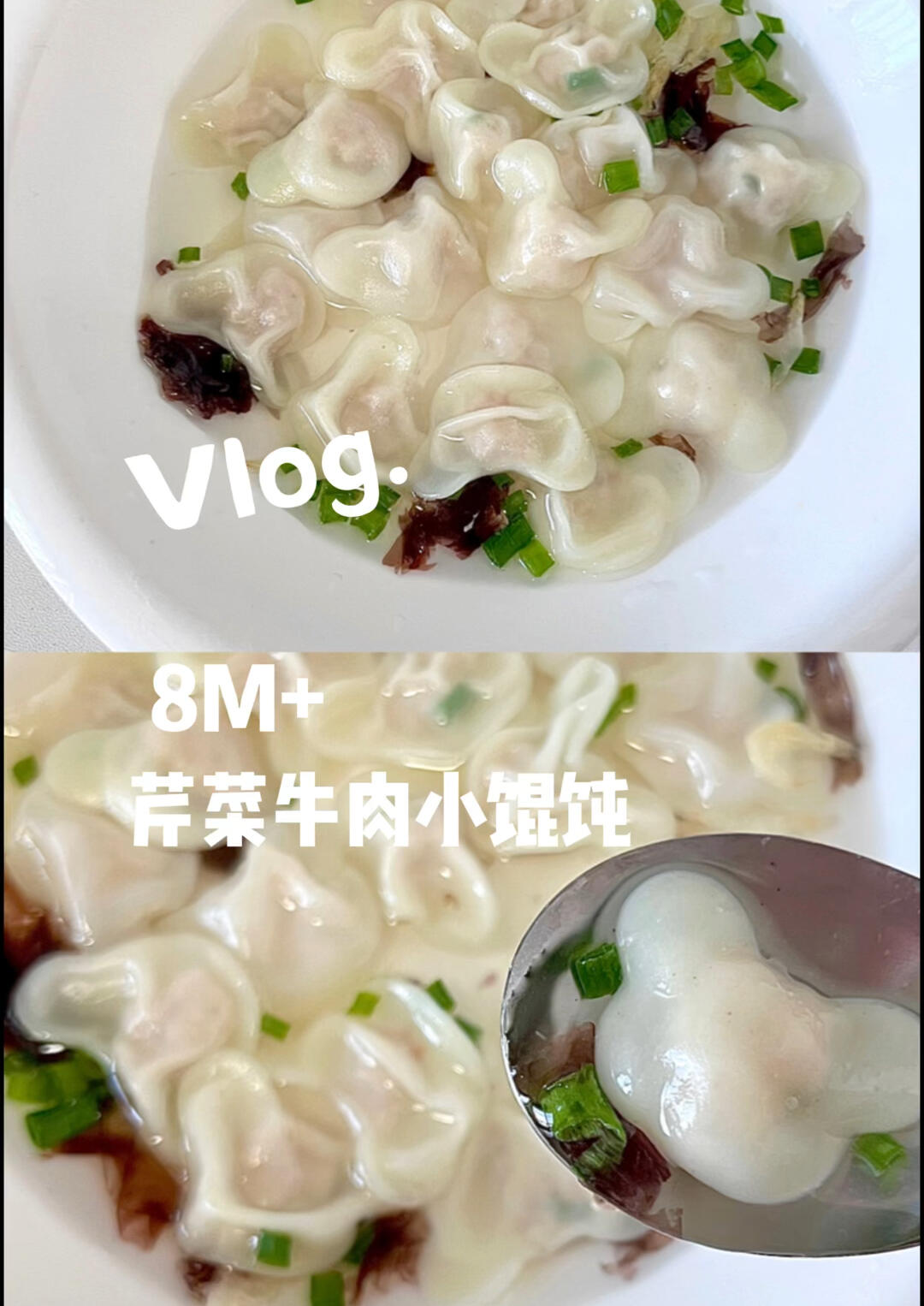 芹菜牛肉小馄饨轻松备餐一周 营养又美味