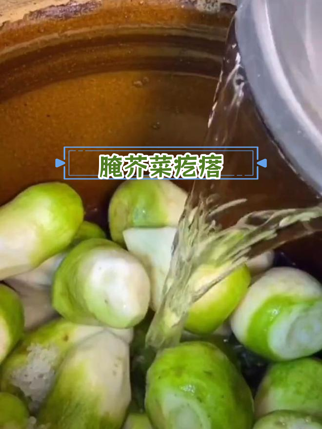 芥菜疙瘩咸菜的腌制方法