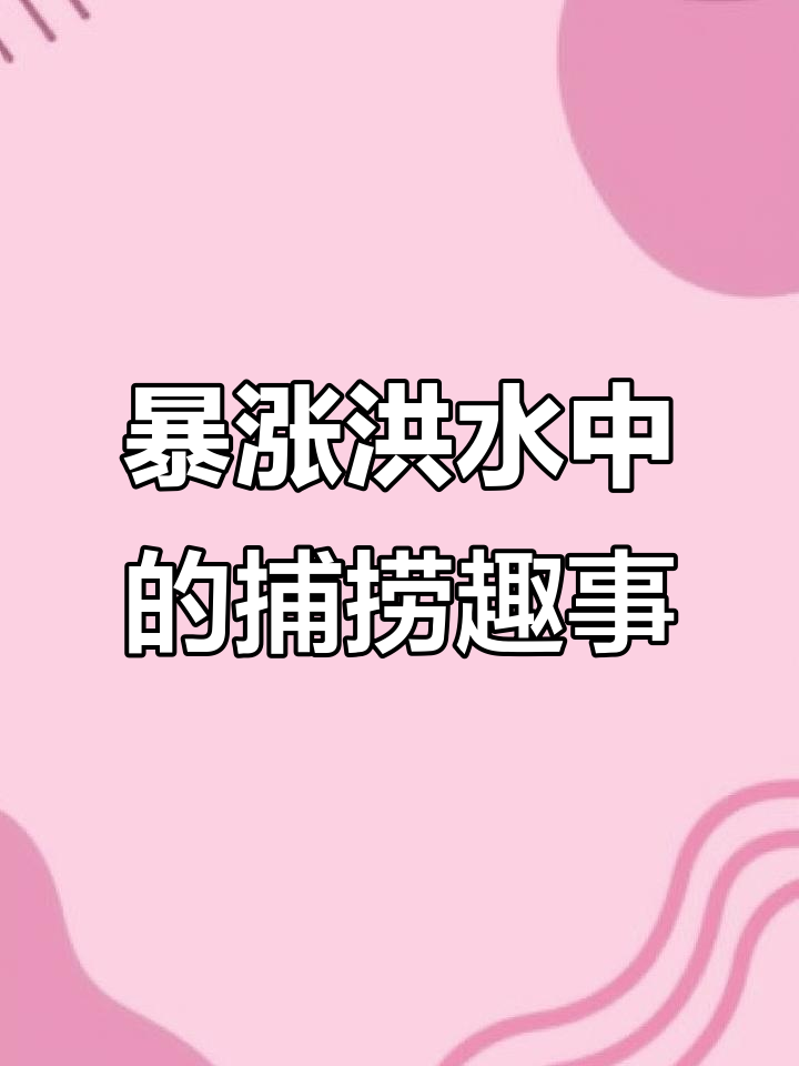 暴雨后玉米地变“船场”,村民划船捕鱼忙
