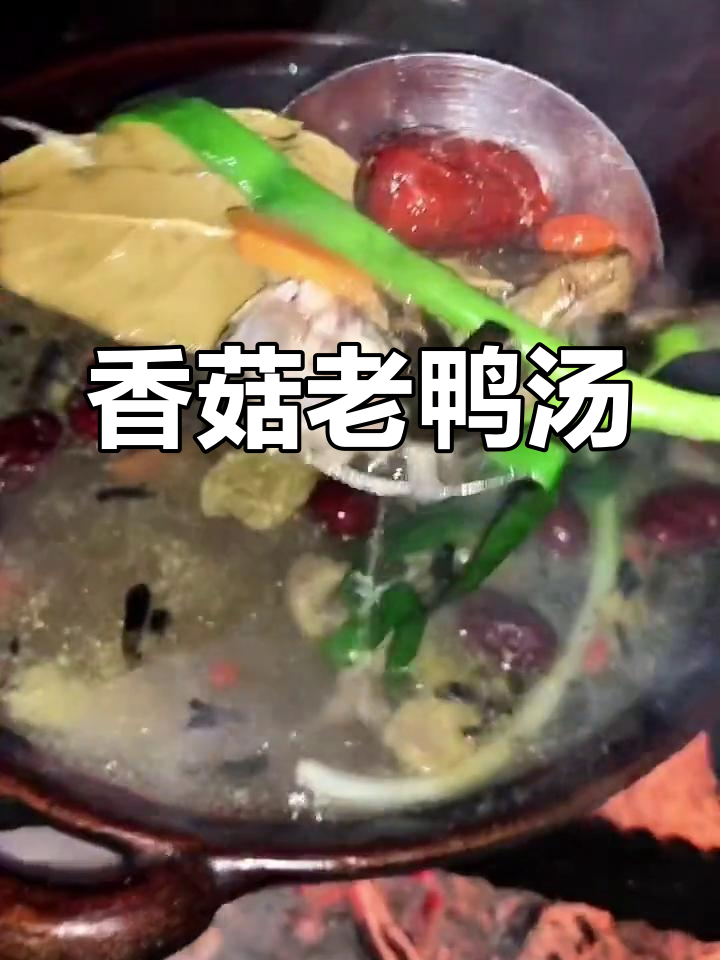 老鸭汤配香菇，味道绝了！今晚就做这道美味