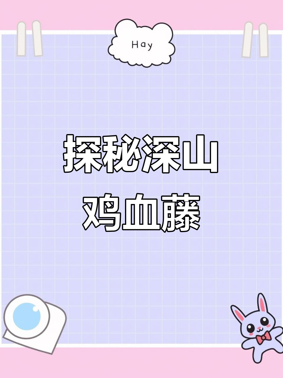 深山老林中的野生鸡血藤,惊险刺激的探险之旅