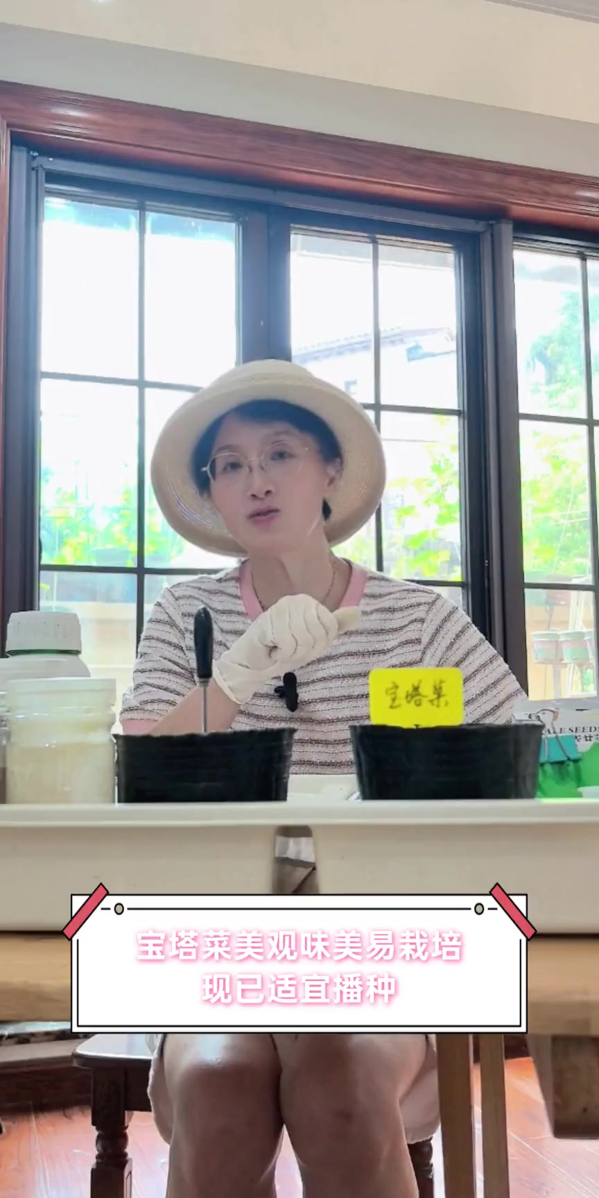 宝塔菜美观味美易栽培,现已适宜播种