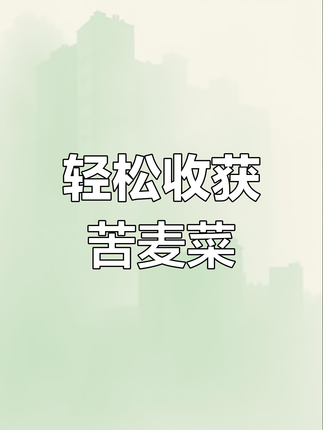 野生苦麦菜长得好,连豆角都出来了