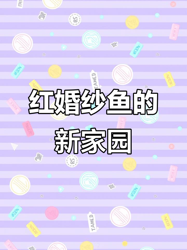 红色婚纱鱼新家打造,水晶石和叶子装饰太美了!