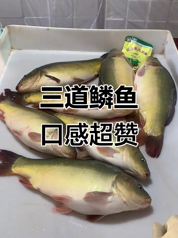 东北三道鳞鱼:鲜美淡水鱼肉,无鳞刺少,炖煮烤制皆宜