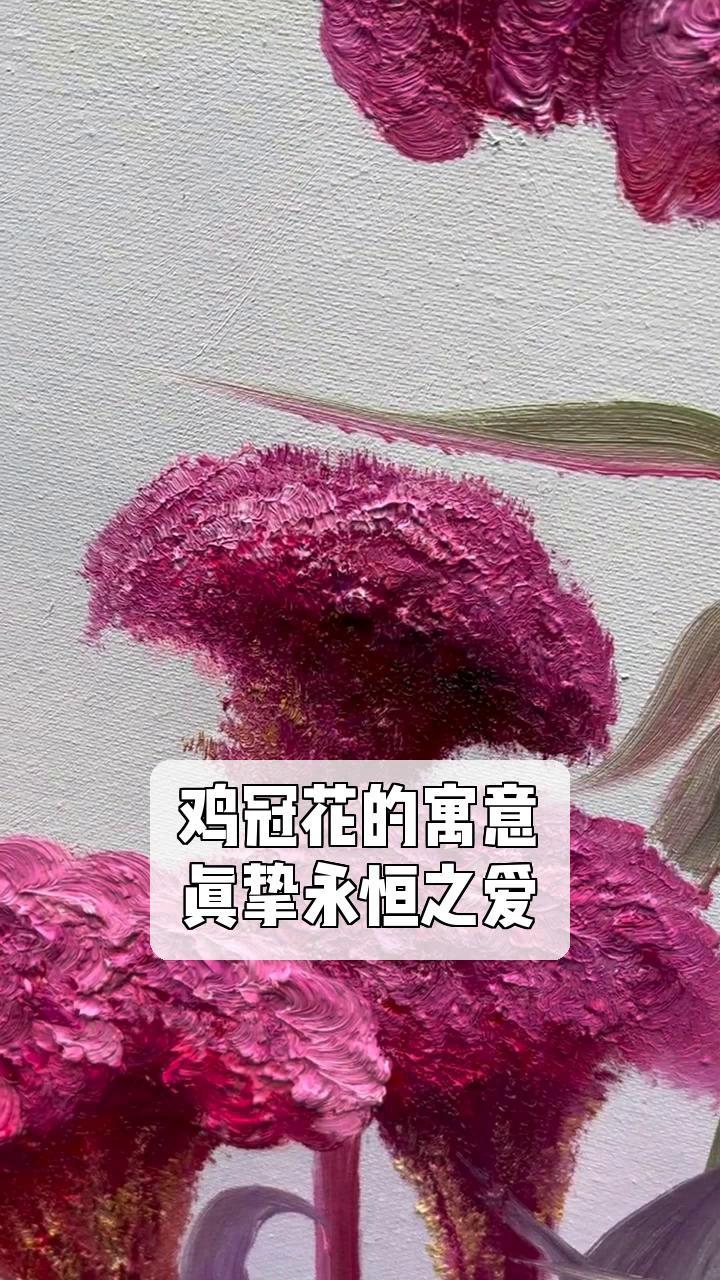 鸡冠花的寓意,真挚永恒之爱