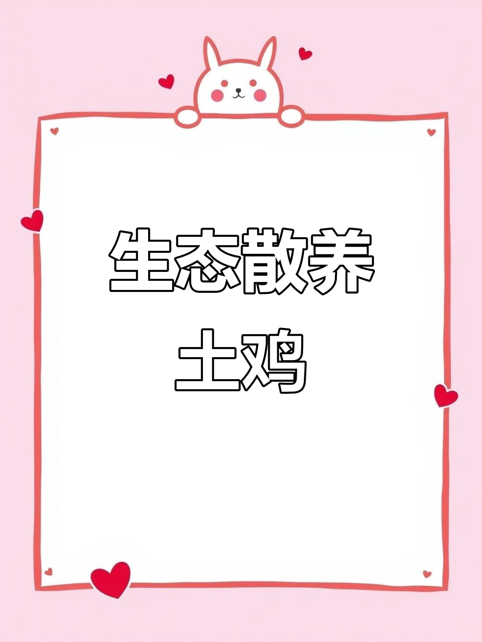 散养土鸡自由活动,天然食物喂养,肉质鲜美无污染