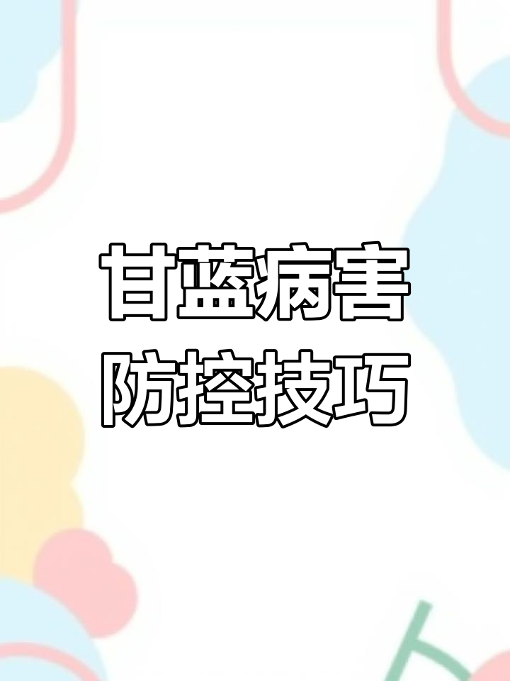甘蓝常见病虫害防治全攻略,轻松搞定!