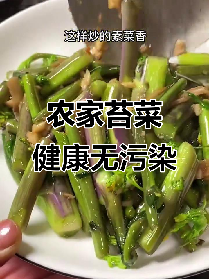 农家苔菜,天然种植的绿色美味