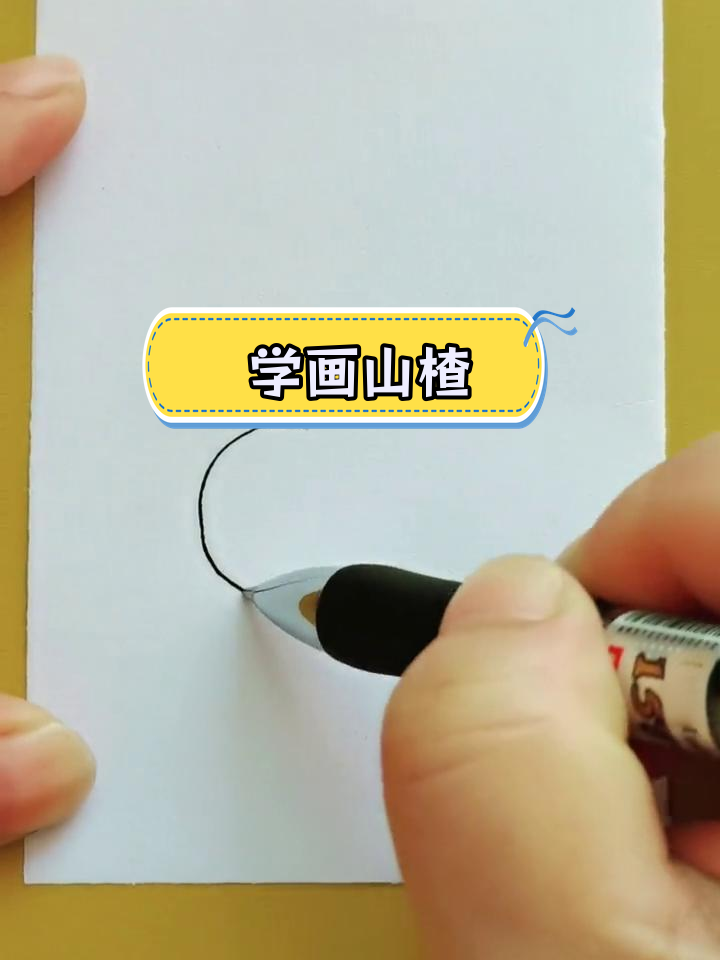 轻松学画山楂简笔画