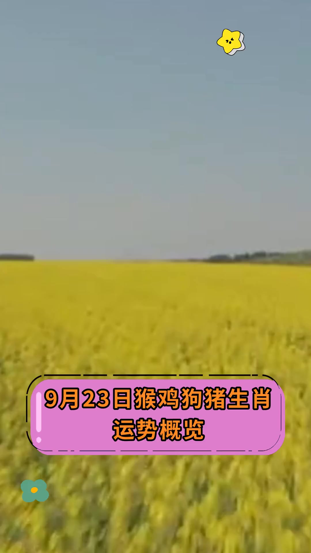 9月23日猴鸡狗猪生肖,运势概览