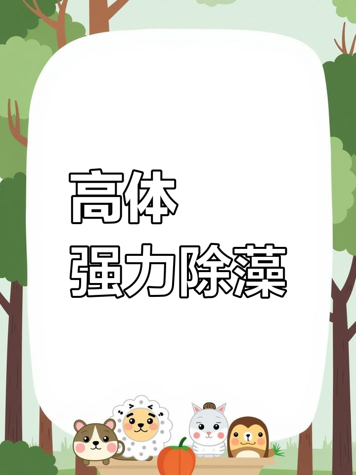 高体鳑鮍虽丑,但除藻效果惊人!两天吃光木头,绿藻清理更高效