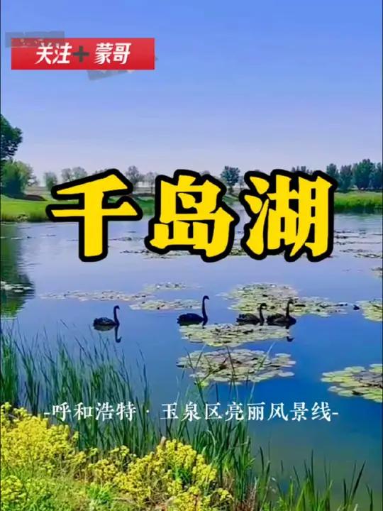一廊·两轴·五带“文旅产业空间发展格局,串联玉泉区辖区内各优质点位,融合自然风光,打造沉浸