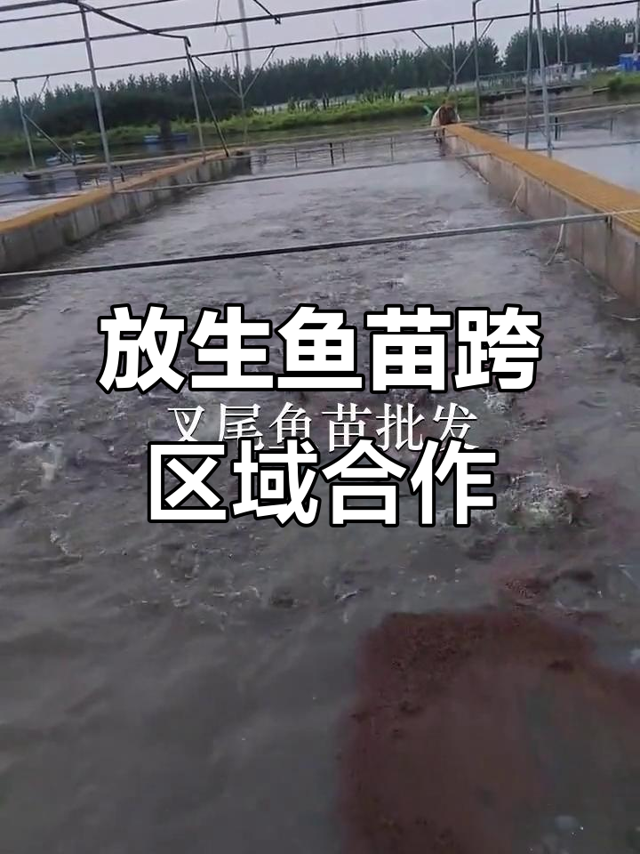 东莞塘厦鱼苗场与深圳东晓合作放生,惠州地区也有参与
