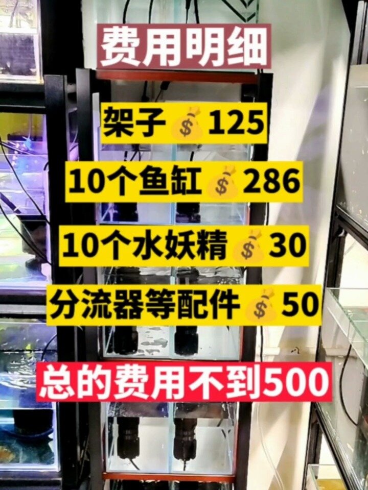 如果你缸少了,不妨自己设计一个组缸试试