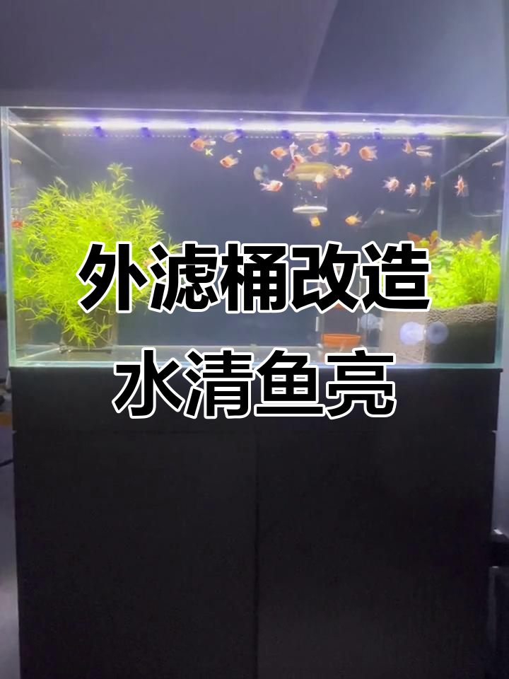鱼缸外置过滤器升级，打造静音空气缸效果