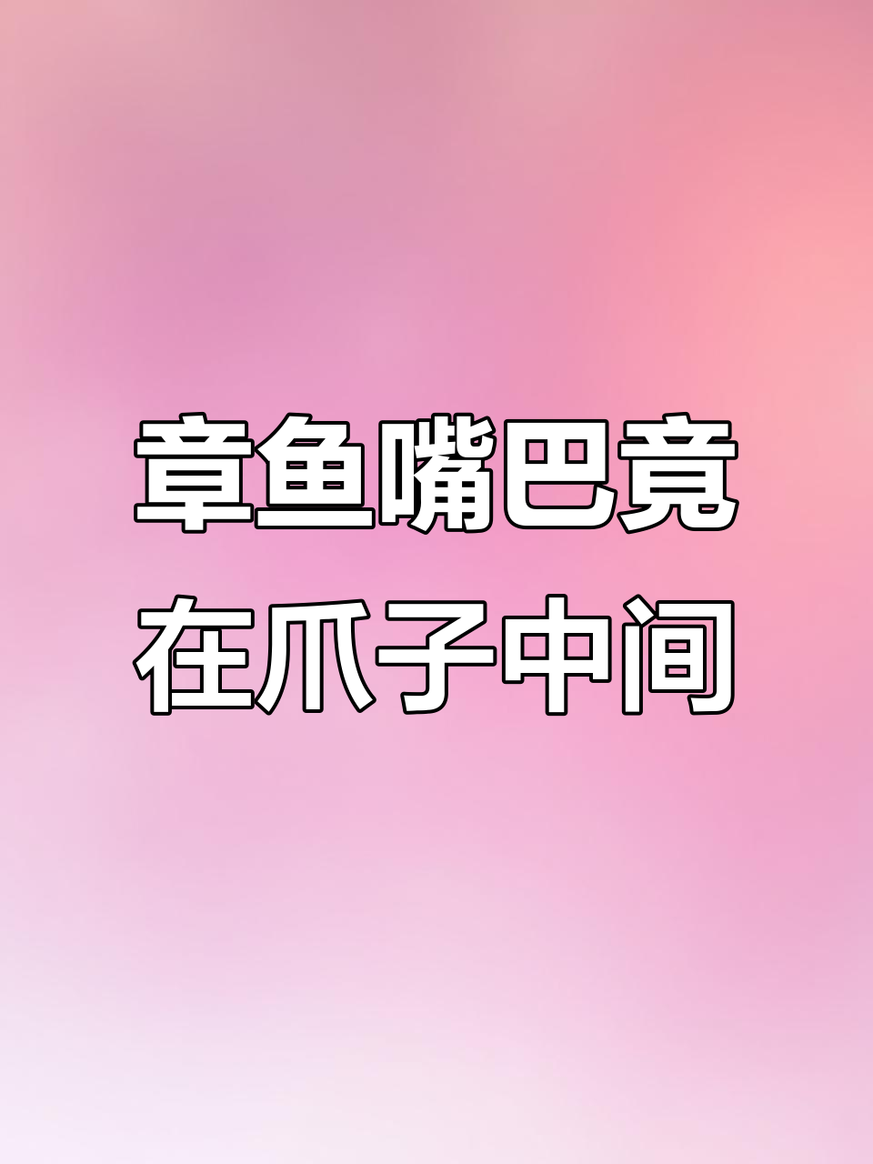 八脚章鱼的嘴竟然藏在这里,牙齿锋利如刀片