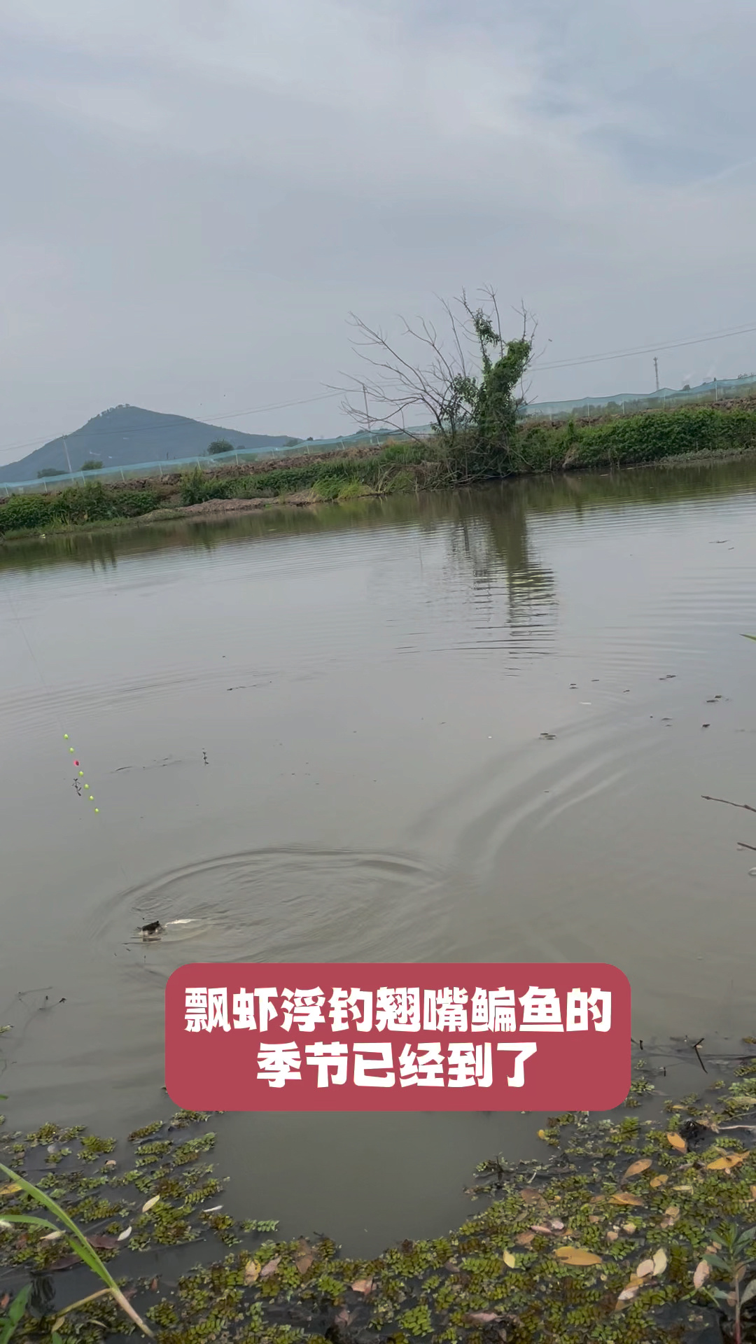 钓鱼人