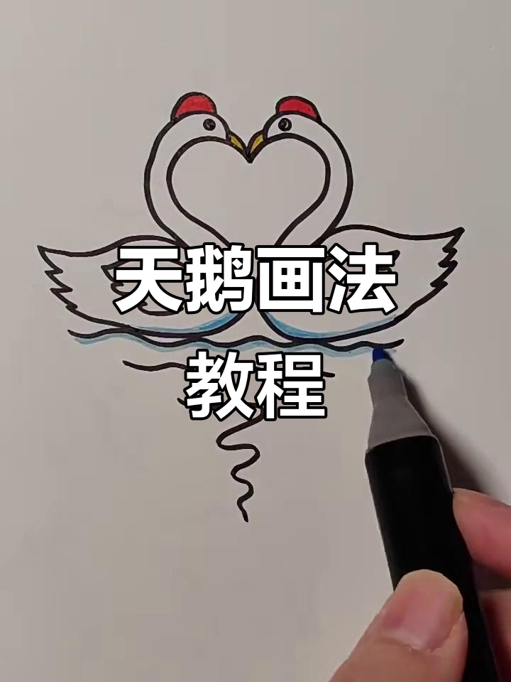 轻松画出可爱天鹅,步骤简单有趣
