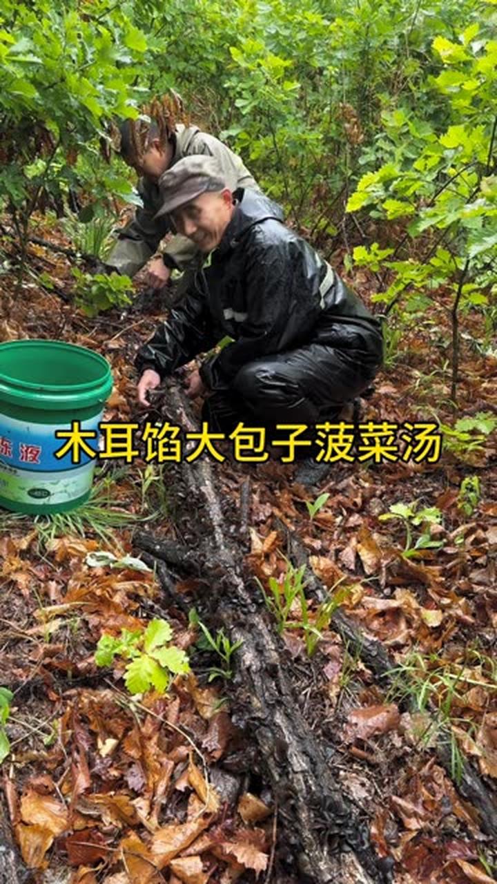 山里的农村生活 木耳馅大包子配菠菜汤