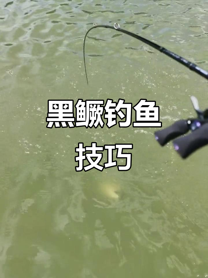 黑色鳜鱼咬口轻,动作慢点才能避免被拉黑