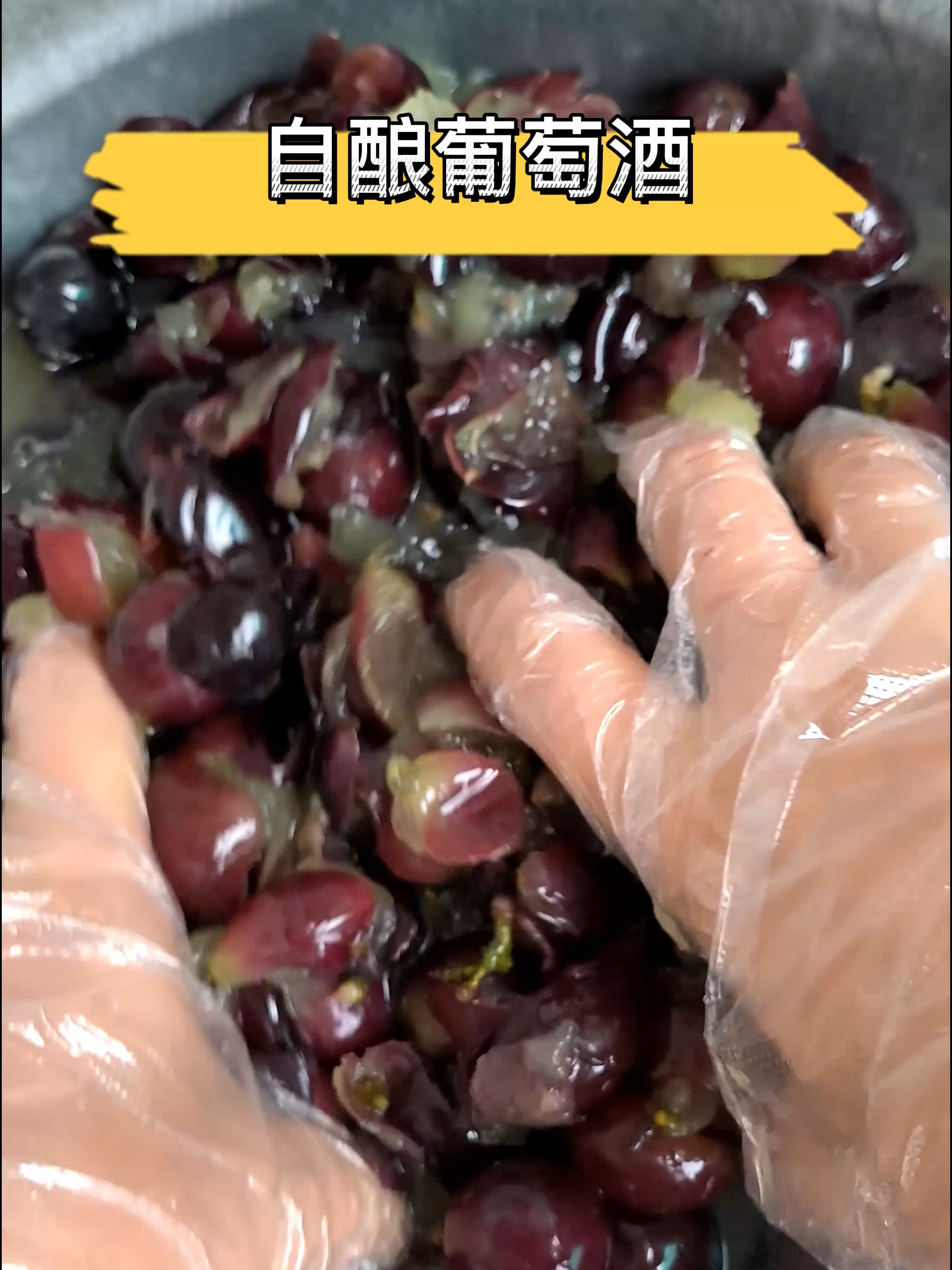 自酿葡萄酒做法
