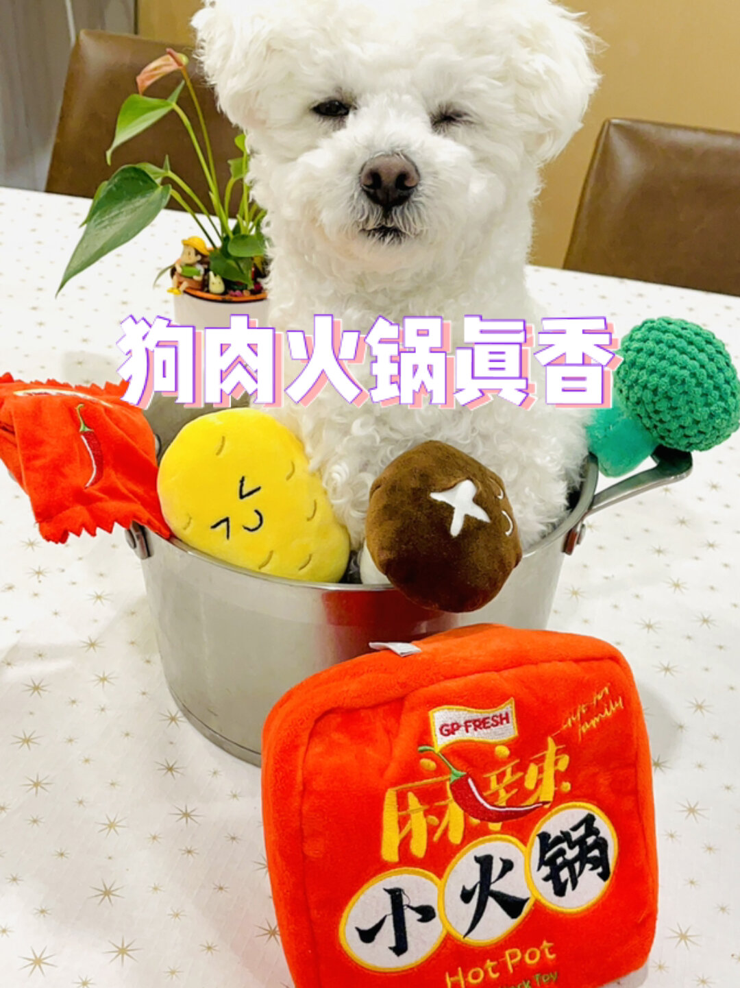 狗肉火锅标准步骤