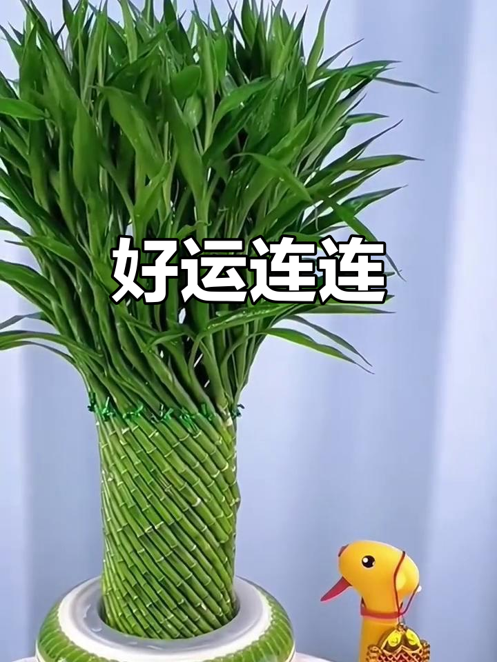枝干交错，象征事业蒸蒸日上，好运不断