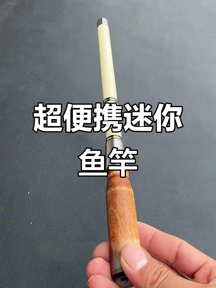 迷你短节鱼竿,25公分轻松装进口袋,钓鱼更方便