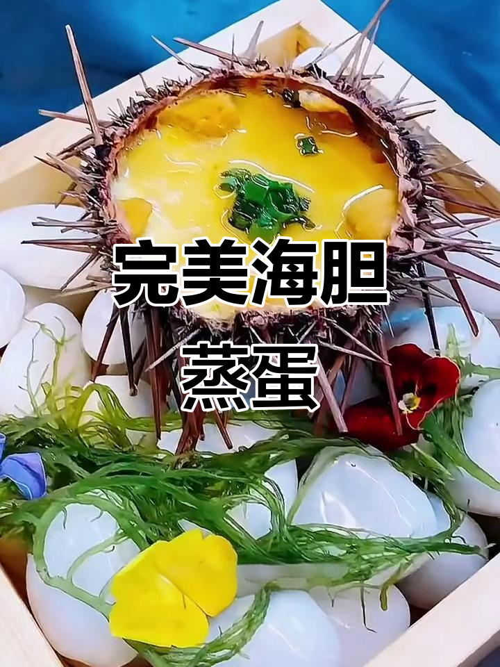 海胆蒸蛋做法大揭秘,简单步骤教你做出美味海鲜美食
