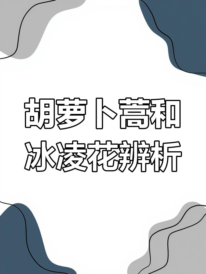 胡萝卜蒿与冰凌花的致命区别,不注意可能中毒