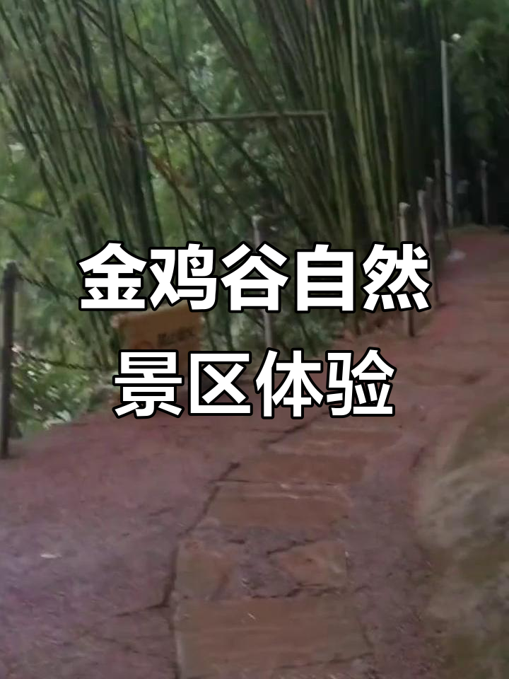 探秘川西竹海金鸡谷,感受大自然的神奇魅力