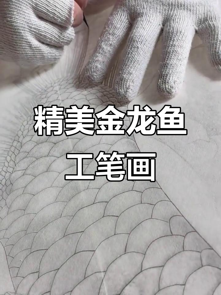 金龙鱼手绘工笔画,细节满满的艺术之美