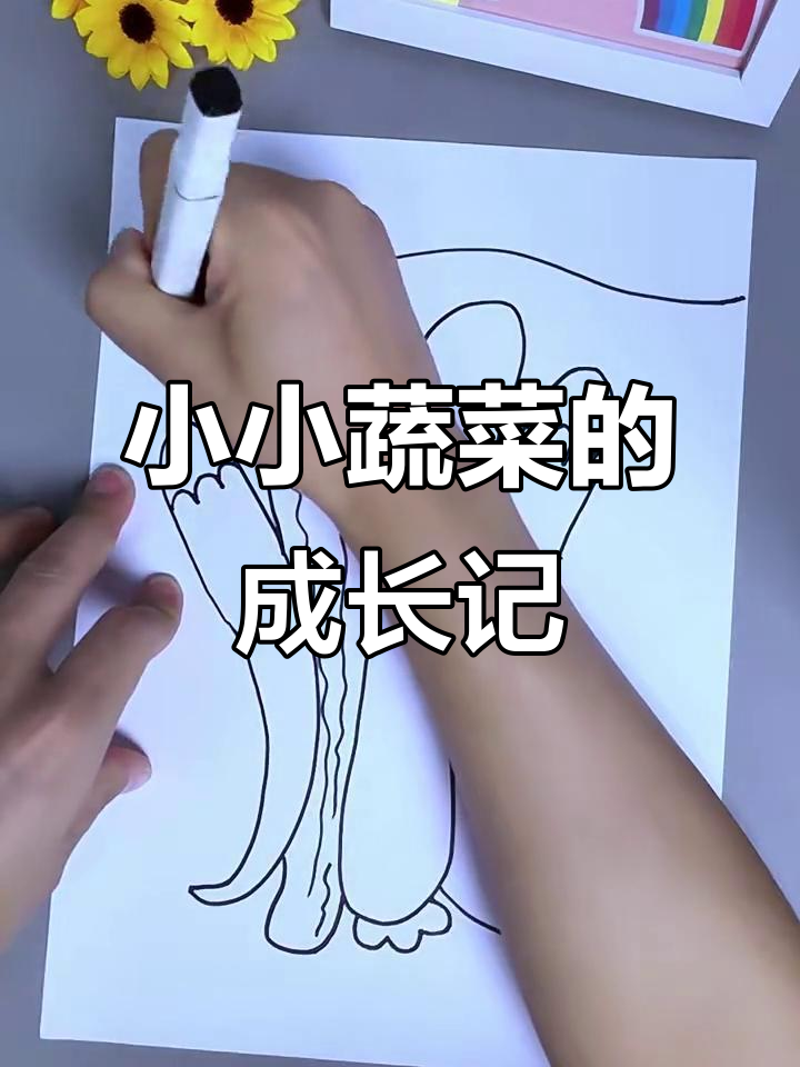 蔬菜们的成长与休息,太阳月亮陪伴左右