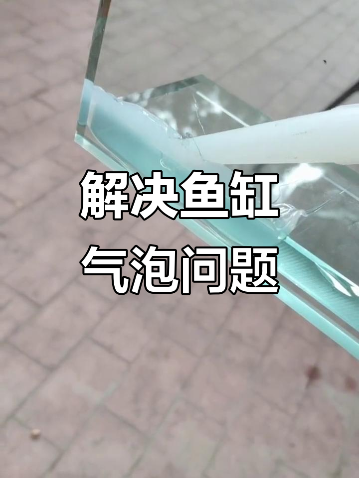 鱼缸粘接气泡处理技巧,轻松搞定漏水问题