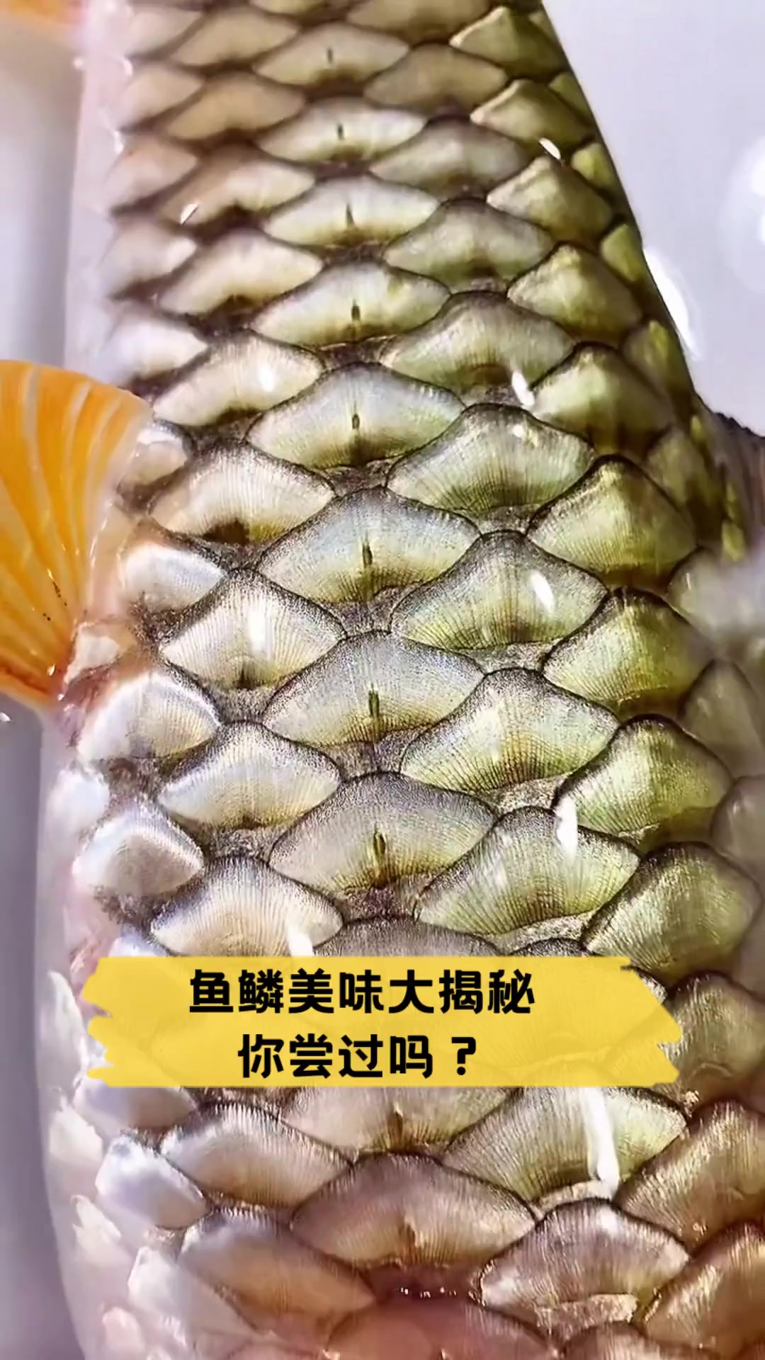 鱼鳞美味大揭秘,你尝过吗?